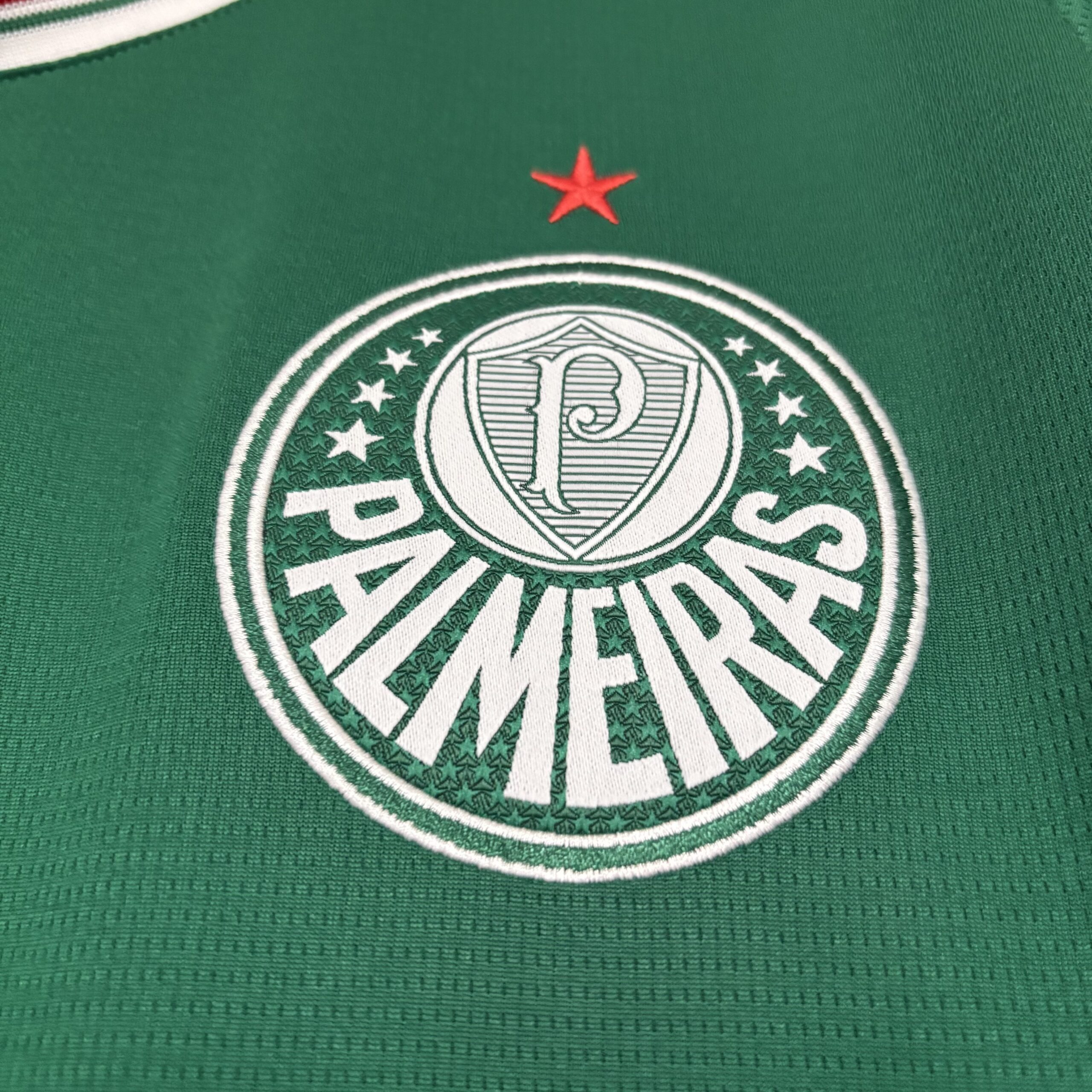 Palmeiras Principal 26 27 2